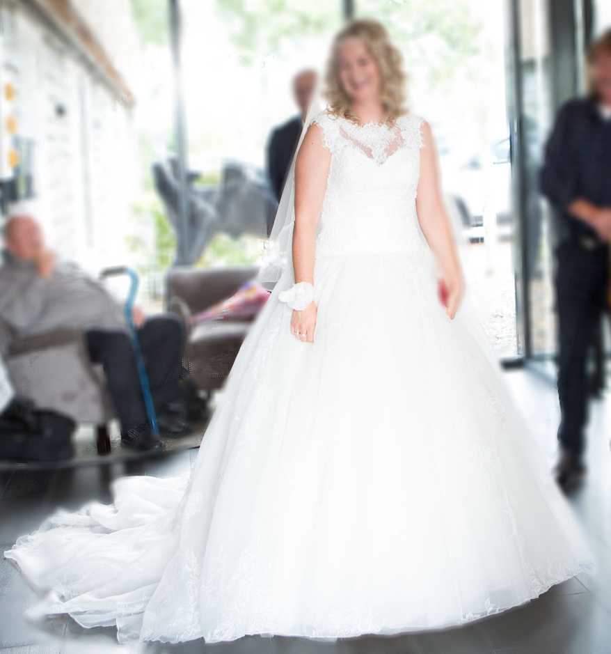 Entzückendes Brautkleid Pronovias Elfenbein Regular Long V-Ausschnitt Neu (unverändert) Tüll Größe 40